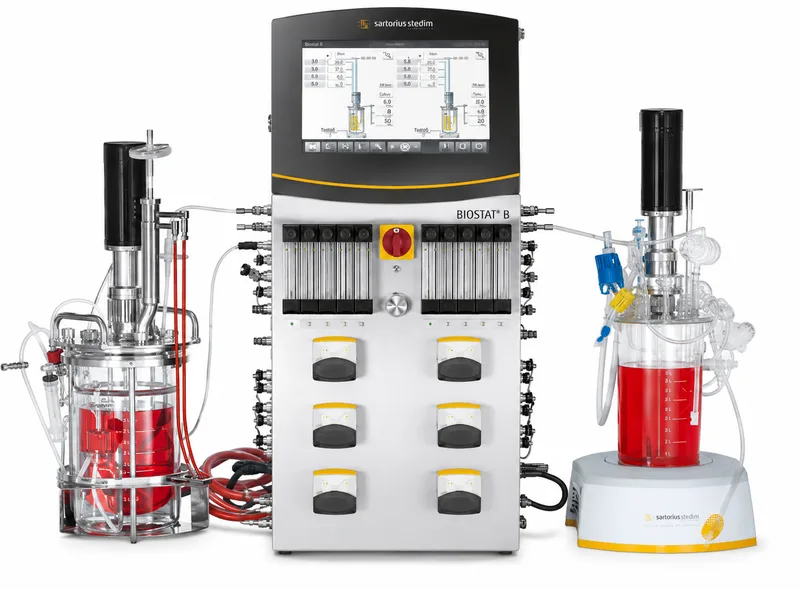 Recombinant protein production